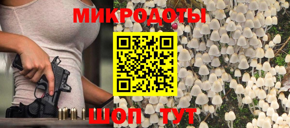 Псилоцибиновые грибы Psilocybine cubensis Гуково